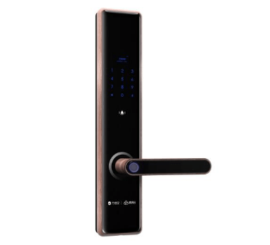 智能門鎖的廠家 智能門鎖的廠家