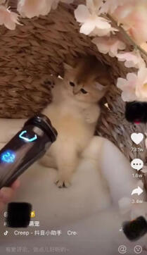 再來一份抖音冷啟動做號養號經驗! 微商引流 小視頻 抖音 經驗心得 第9張 再來一份抖音冷啟動做號養號經驗! 微商引流 小視頻 抖音 經驗心得 第9張