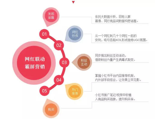 玩轉(zhuǎn)社交電商，小紅書(shū)種草六五攻略